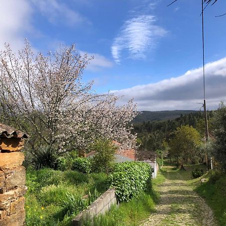 Bed and Breakfast House Of The Three Marias Pedrogao Grande Exterior foto
