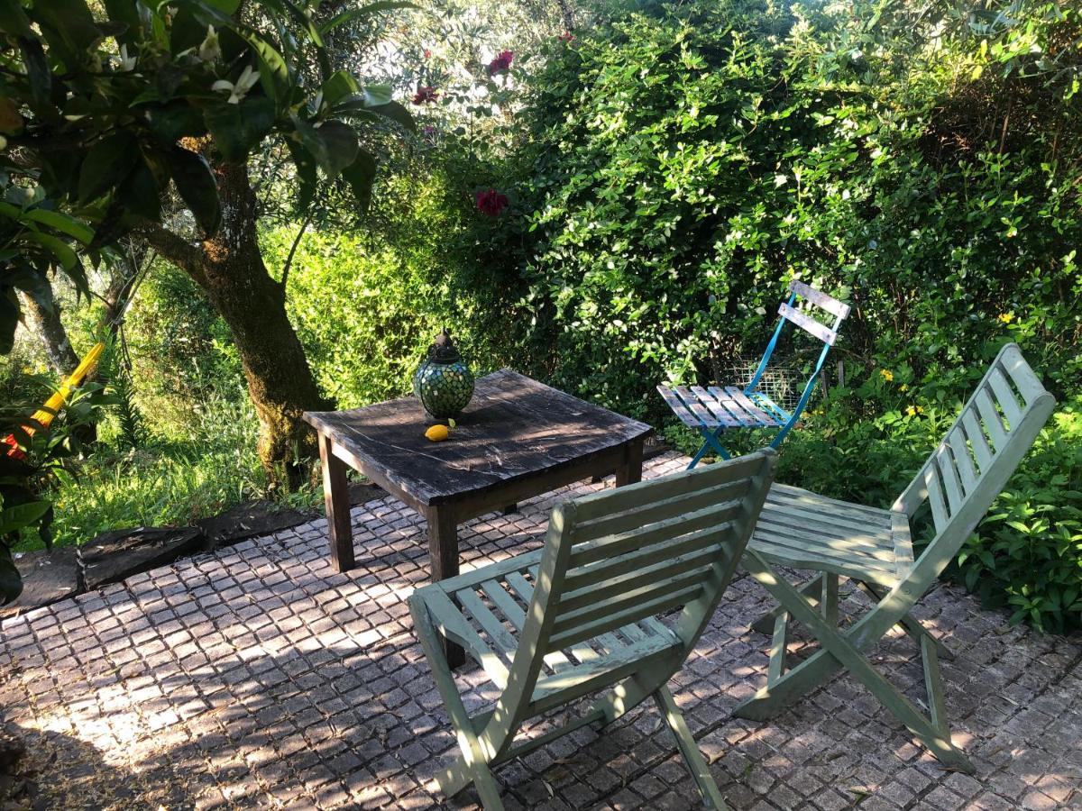 Bed and Breakfast House Of The Three Marias Pedrogao Grande Exterior foto