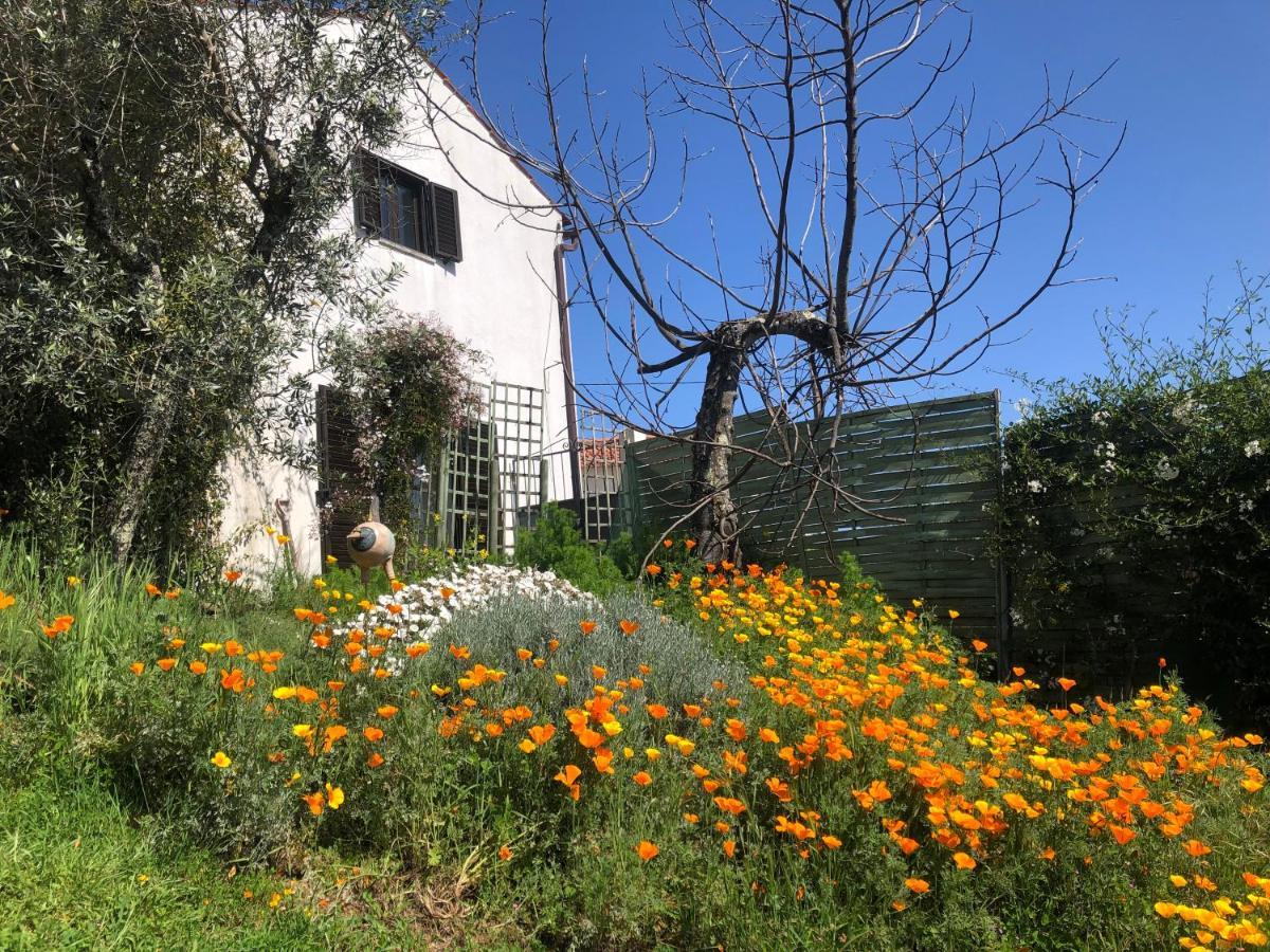 Bed and Breakfast House Of The Three Marias Pedrogao Grande Exterior foto