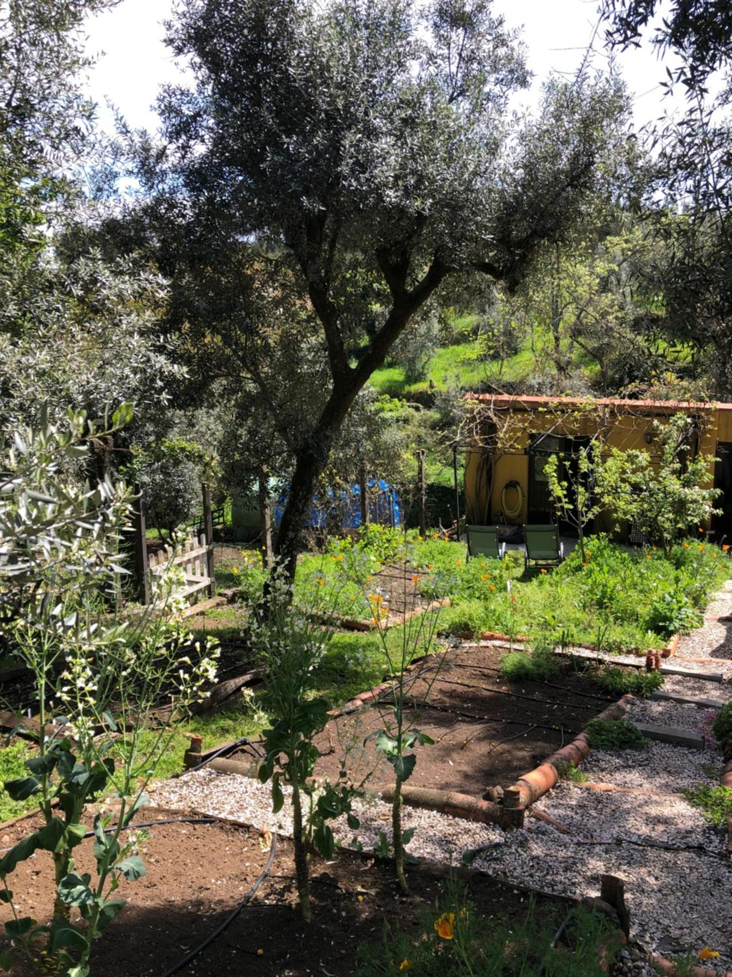 Bed and Breakfast House Of The Three Marias Pedrogao Grande Exterior foto